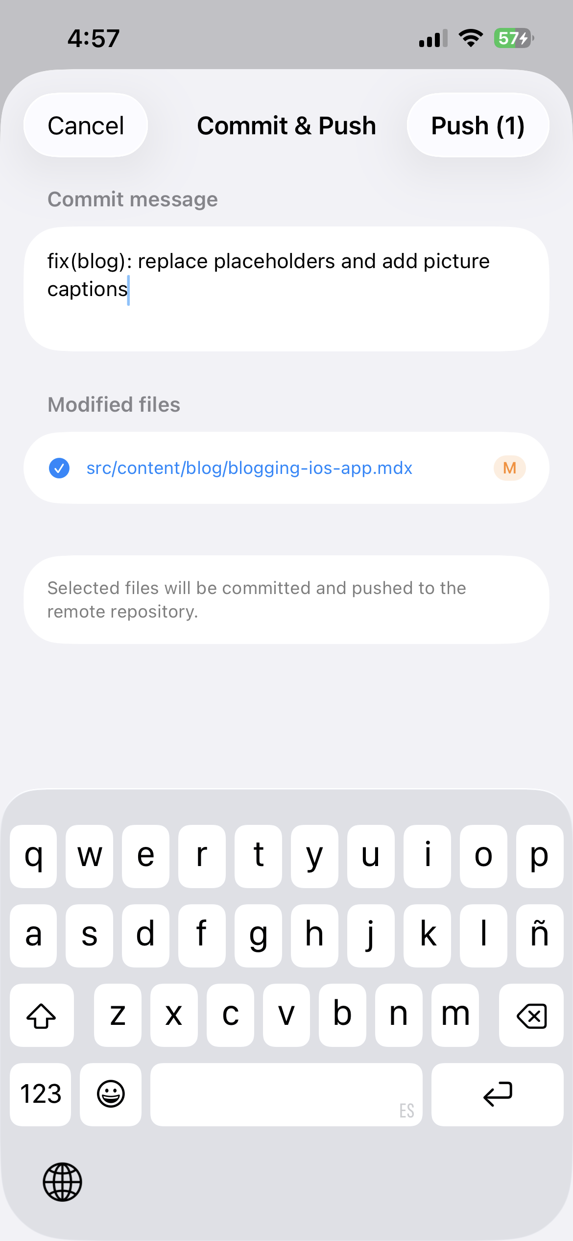 Commit and push form with commit message and staged changes selection