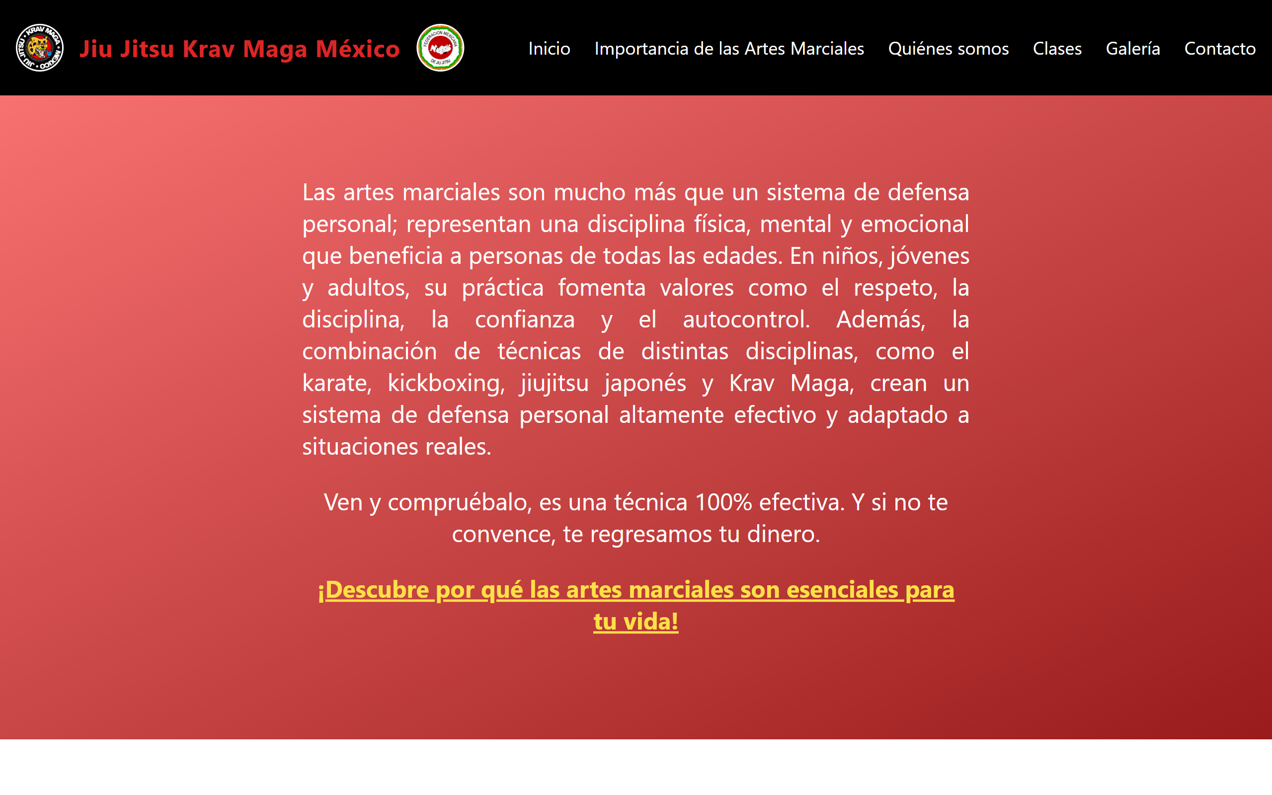 Home page of the martial arts school website, with information regarding the school